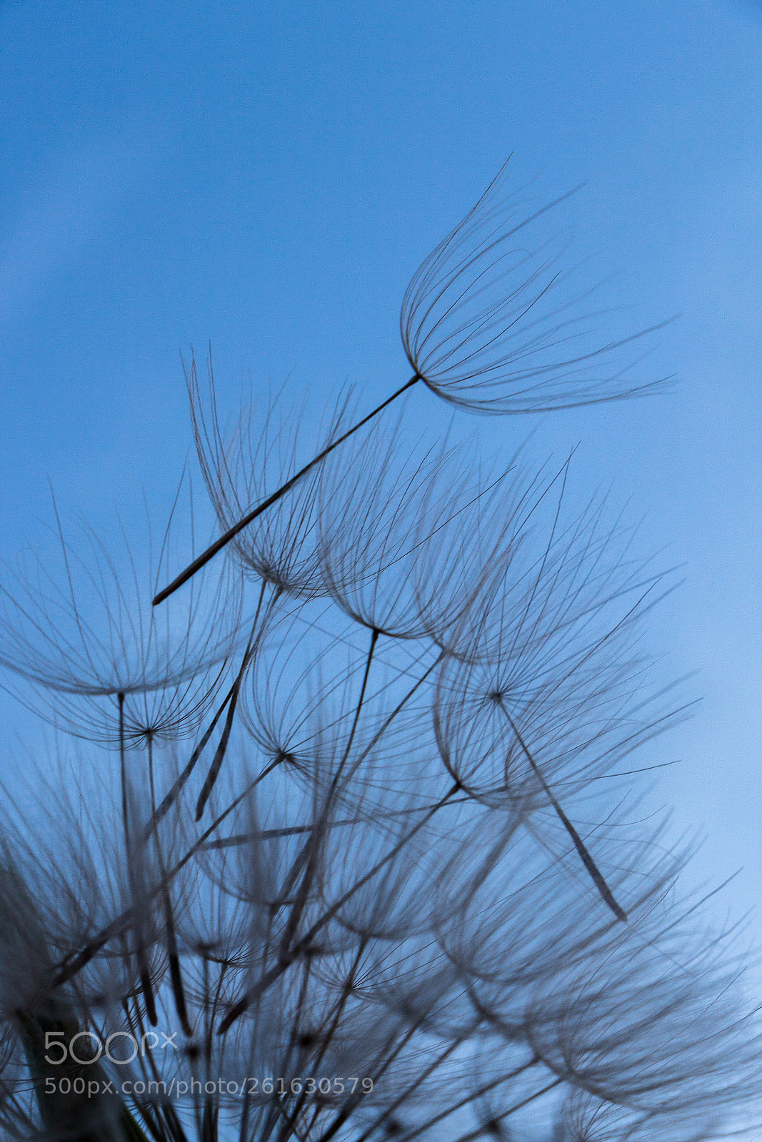 Canon EOS 700D (EOS Rebel T5i / EOS Kiss X7i) sample photo. Climbing up  photography
