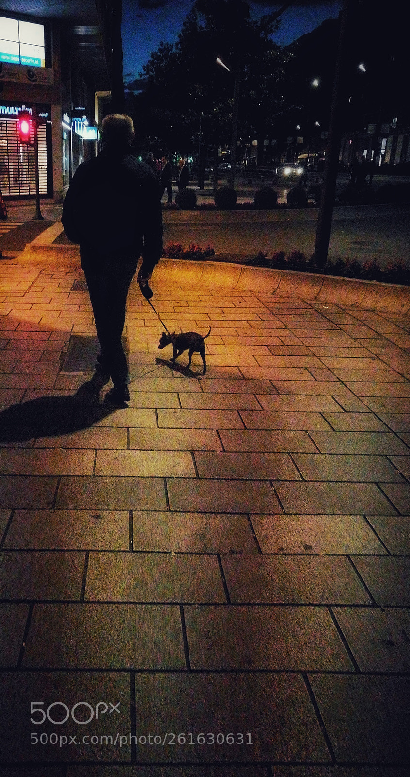 HUAWEI P9 sample photo. Walking photography