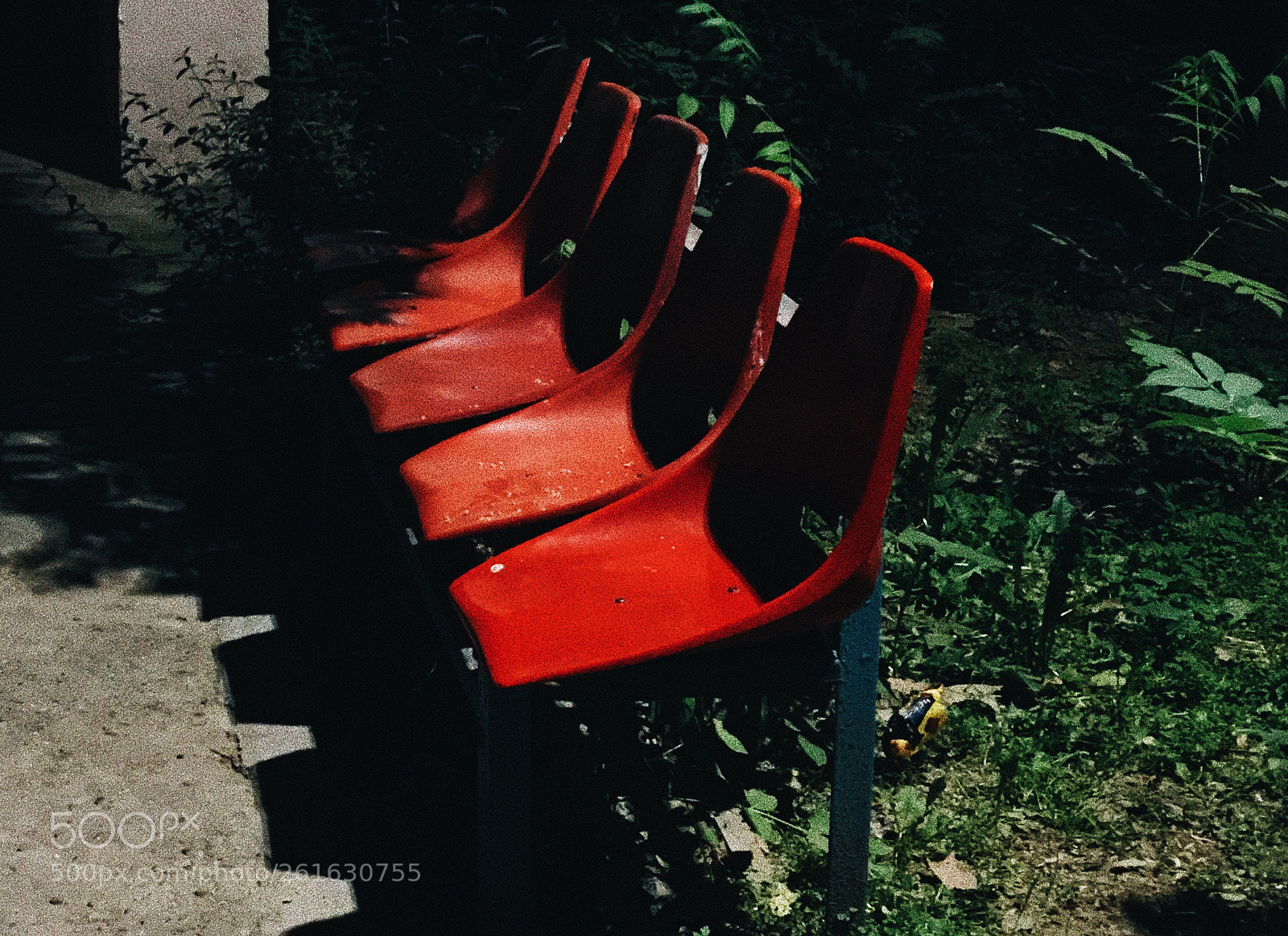 Apple iPhone 7 Plus sample photo. Red 
green photography
