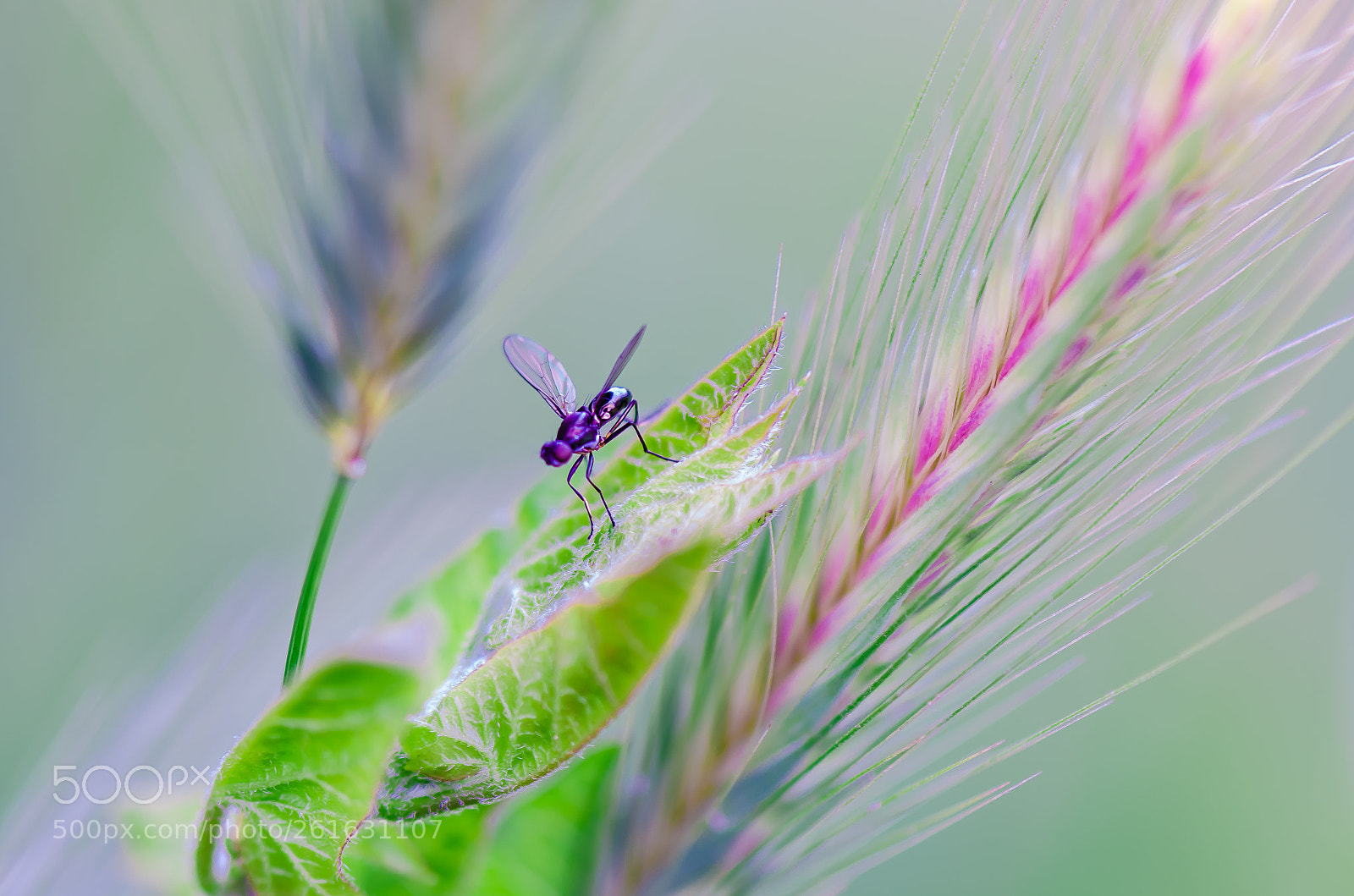Nikon D7000 sample photo. Time to some rest photography