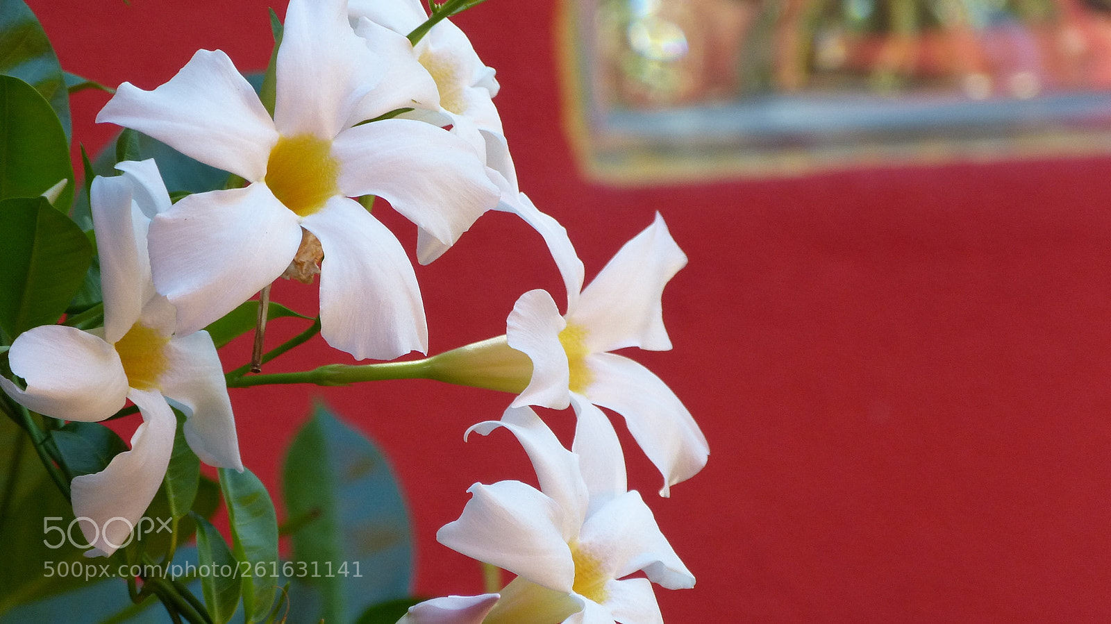 Panasonic Lumix DMC-FZ150 sample photo. Img photography