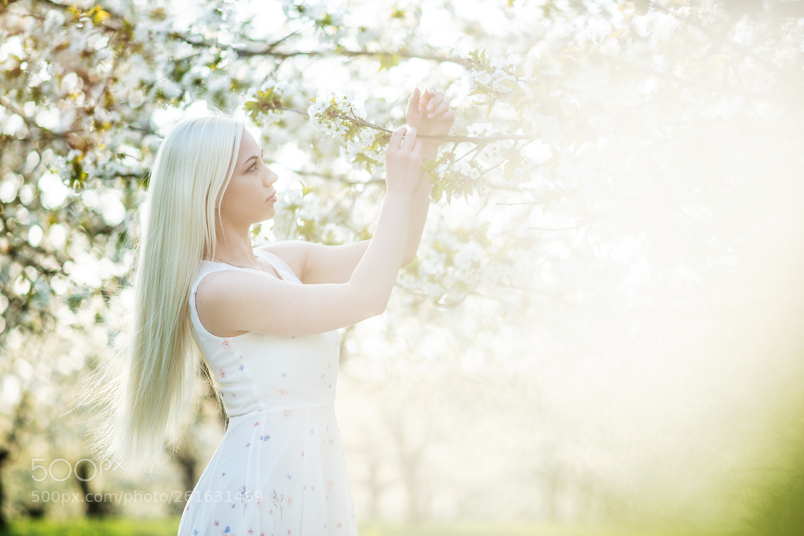 Nikon D750 sample photo. Evička photography