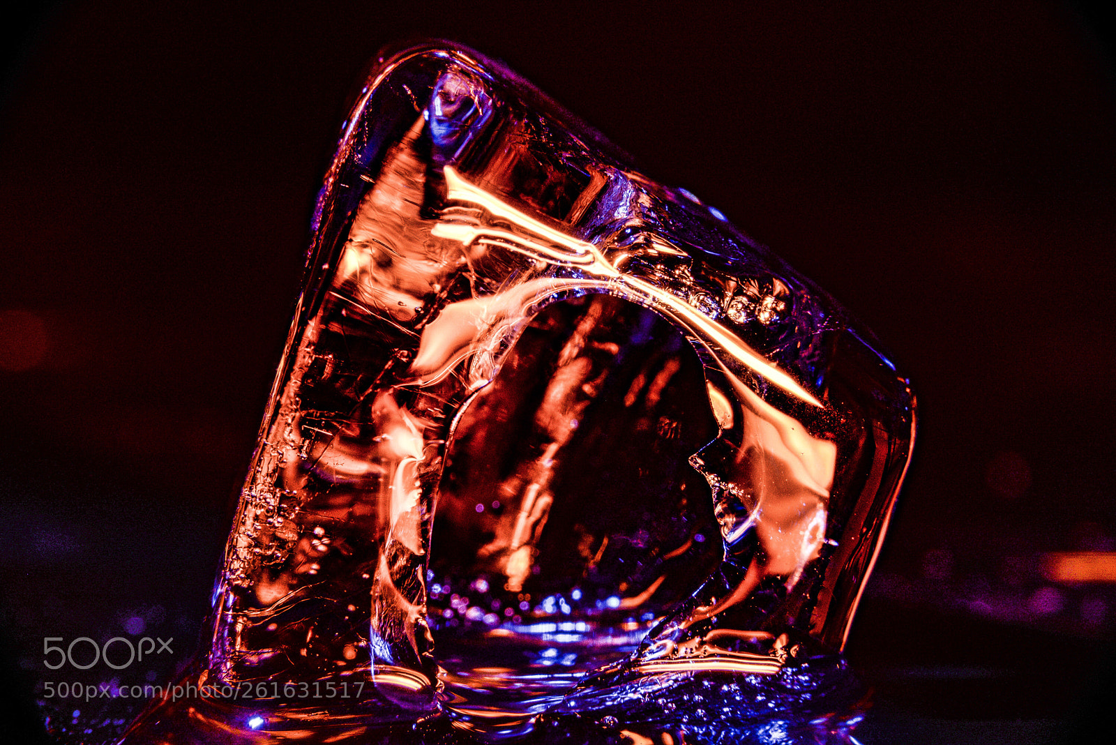 Nikon D610 sample photo. The melting ice photography