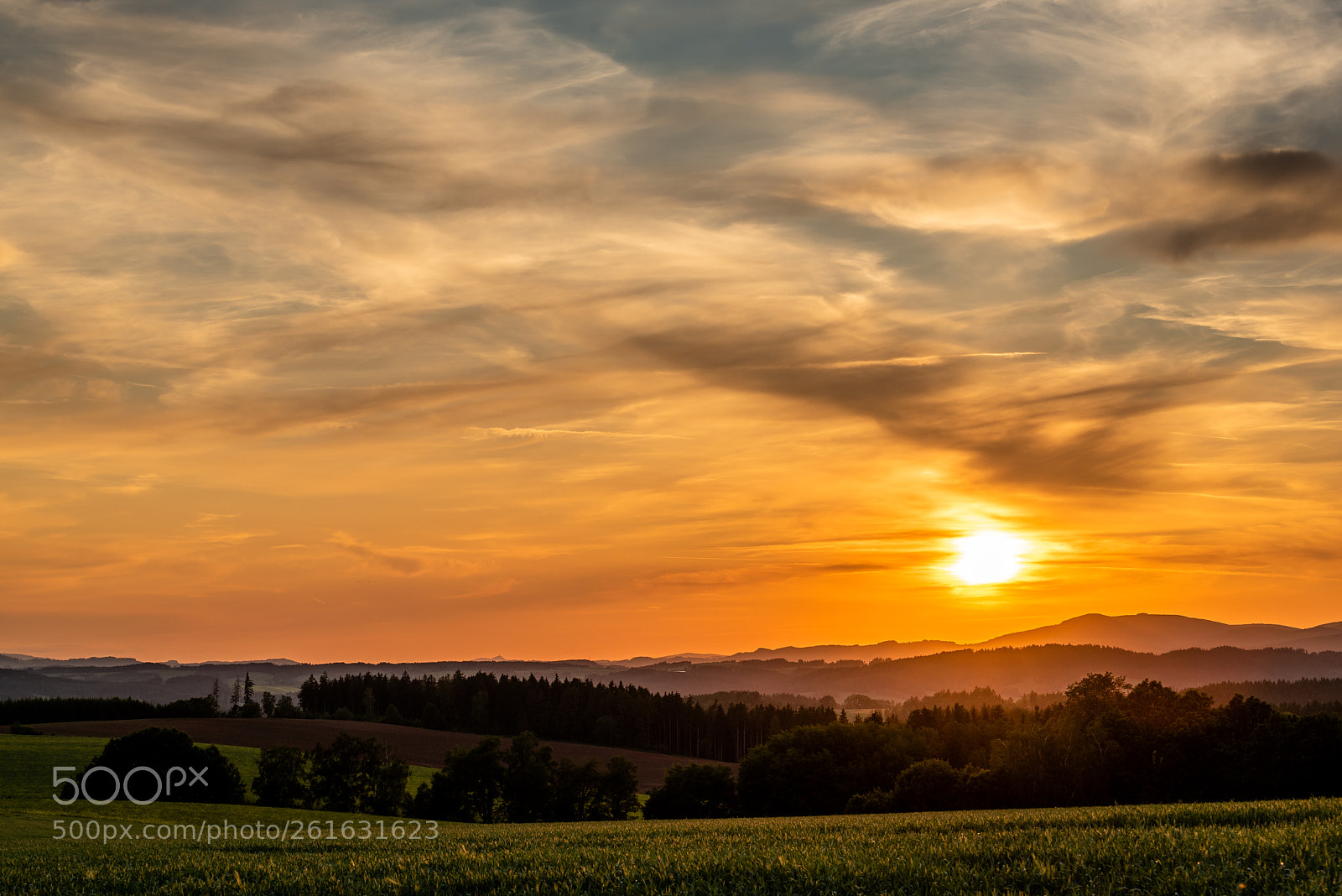 Nikon D750 sample photo. V podkrkonoší photography