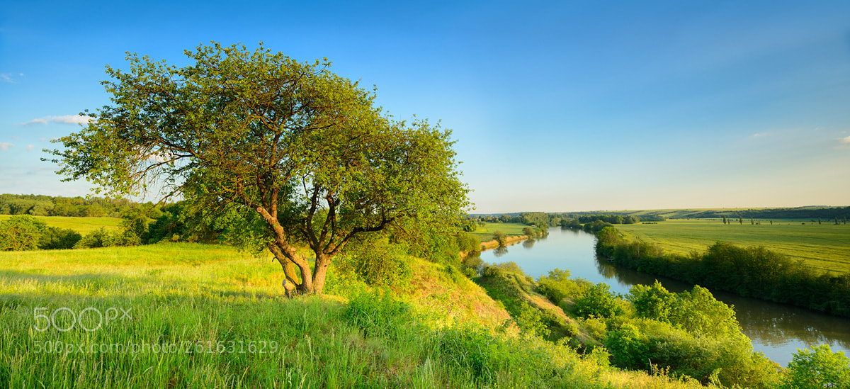 Nikon D800 sample photo. Summer evening photography