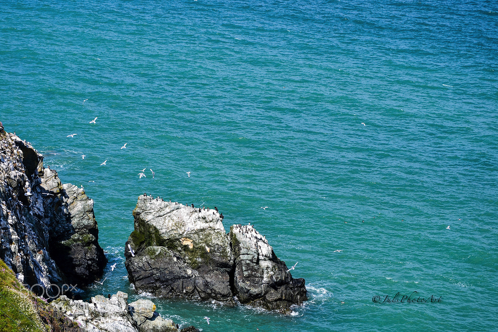 Nikon D3100 sample photo. Bray - greystones, ireland photography