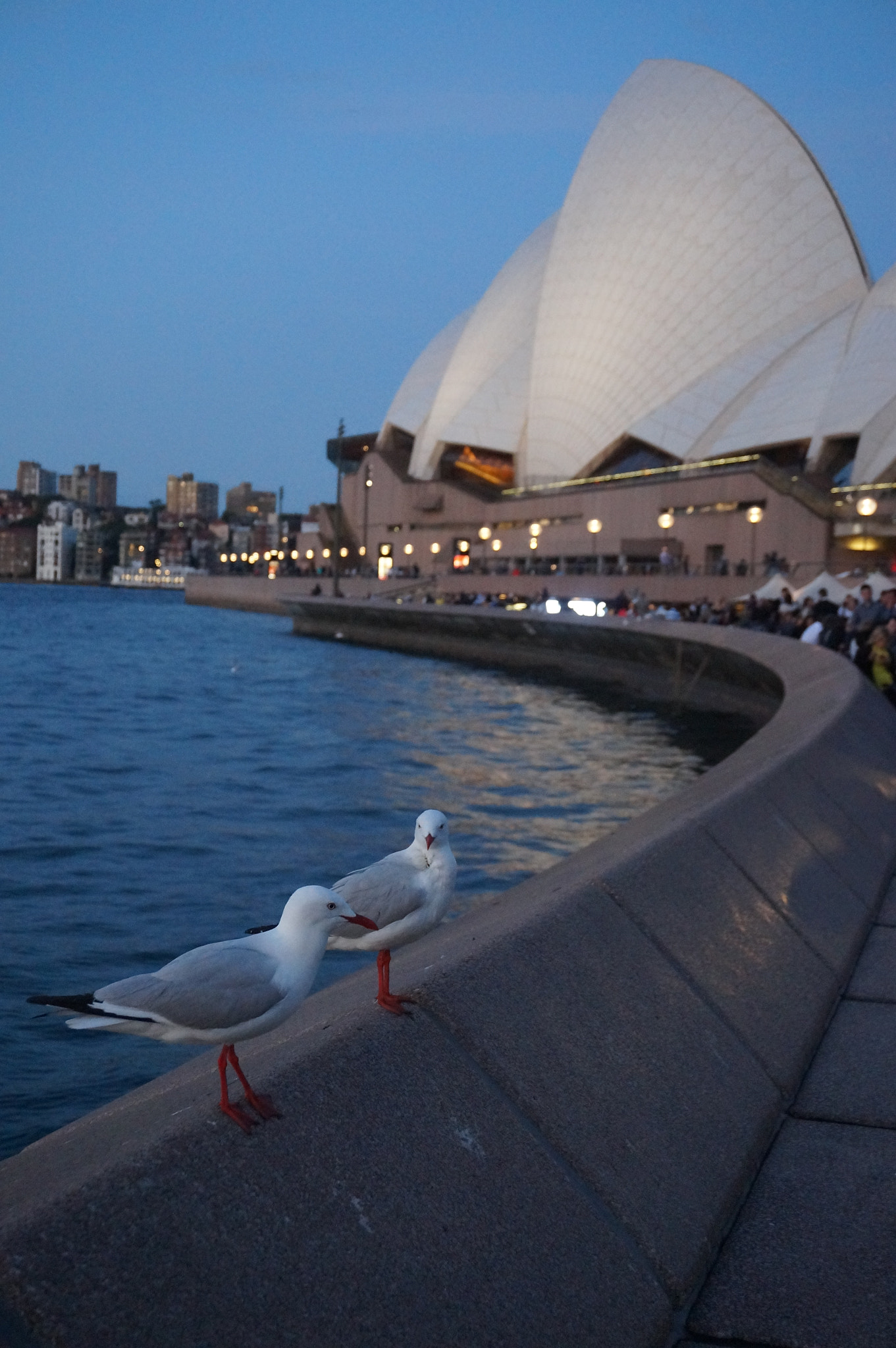 Sony Alpha NEX-3N + Sony E 18-50mm F4-5.6 sample photo. Sydney opera house photography