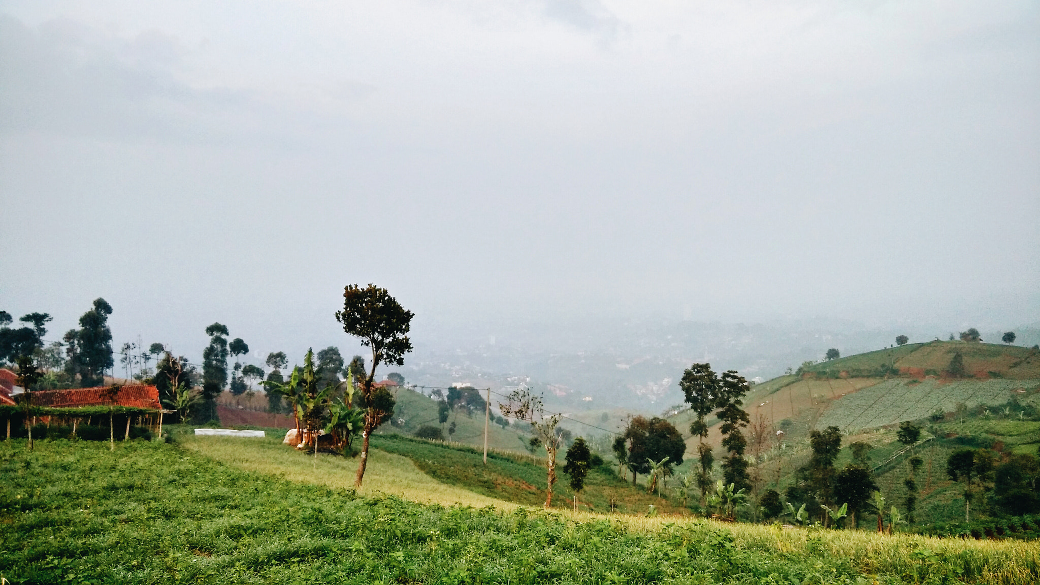 Xiaomi MI3 sample photo. Uphill spot photography