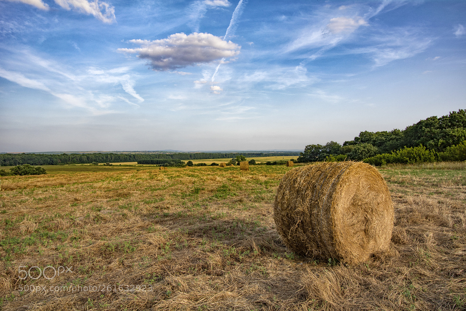 Nikon D5200 sample photo. Straw wheel in farming photography