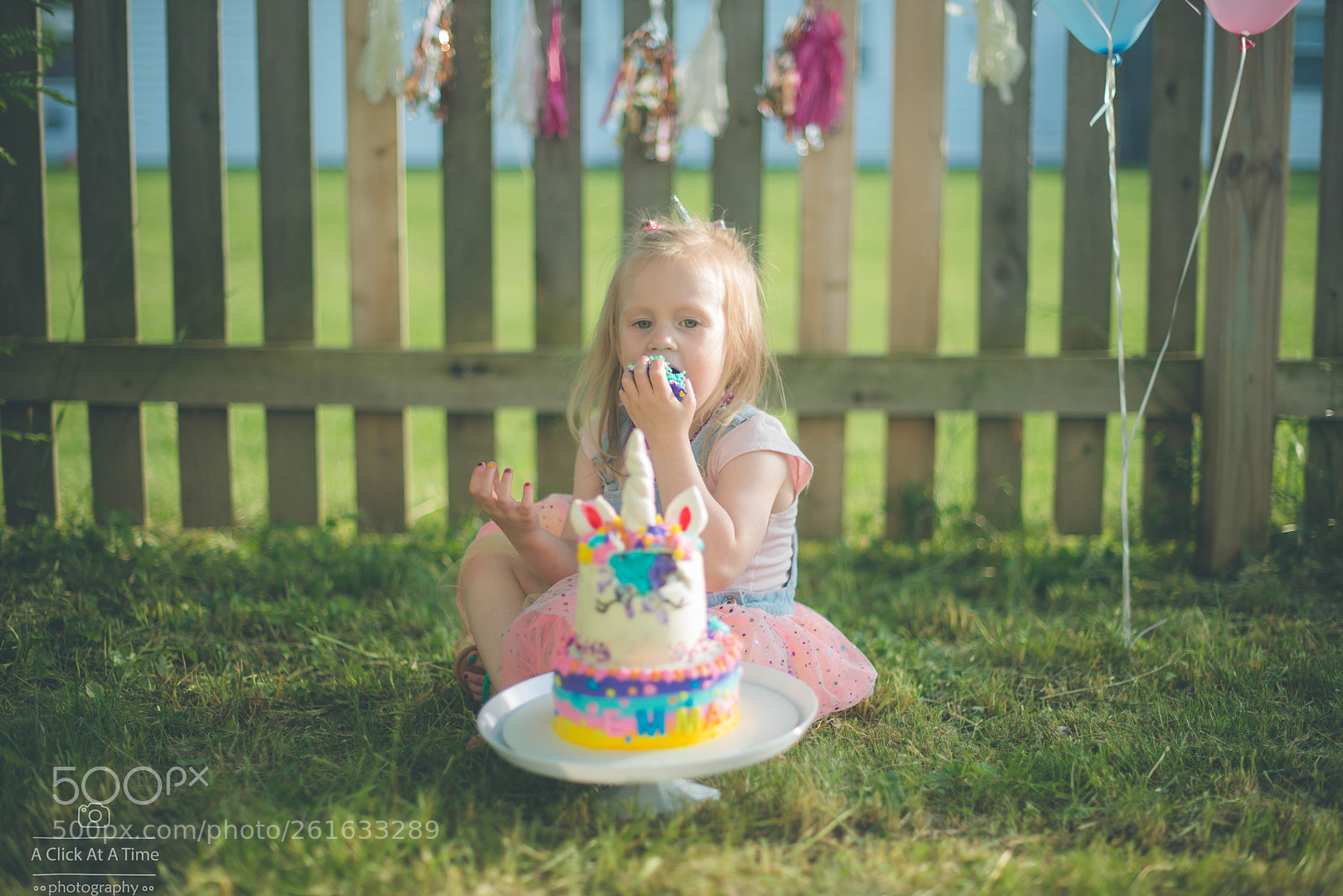 Nikon D610 sample photo. 4.jpg photography