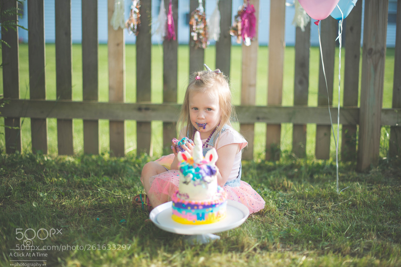 Nikon D610 sample photo. 9.jpg photography