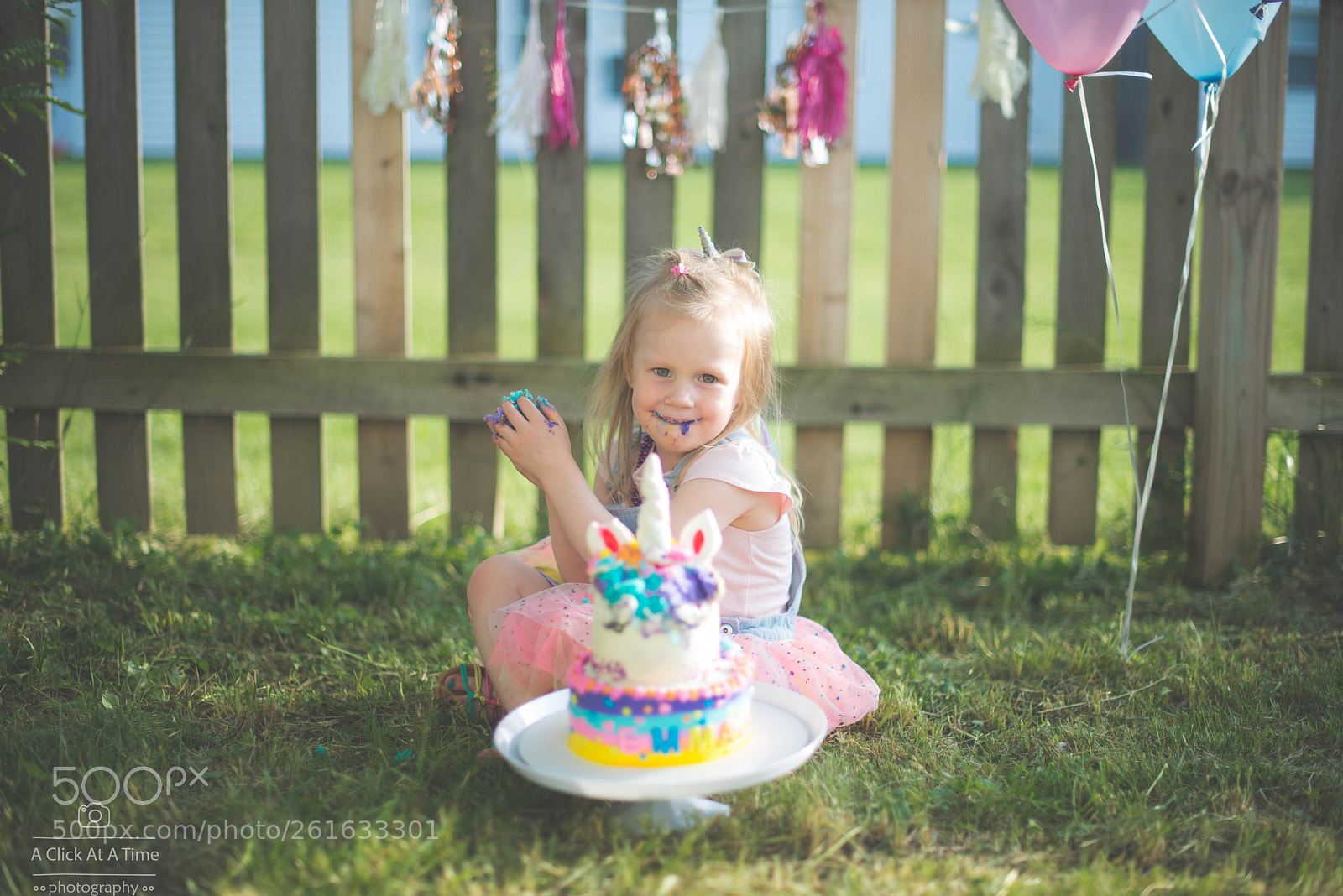 Nikon D610 sample photo. 11.jpg photography