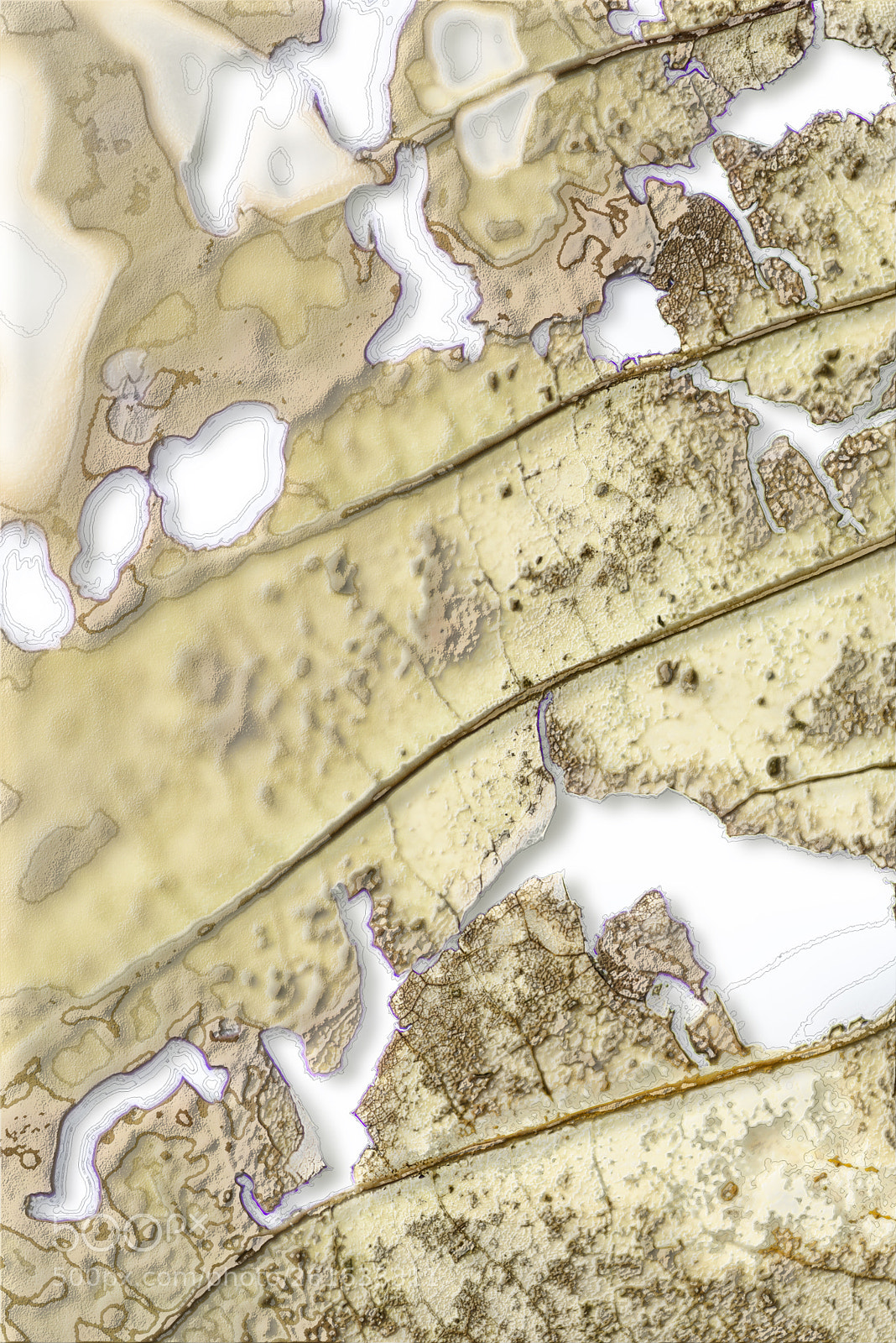 Nikon D600 sample photo. Yellow leaf photography