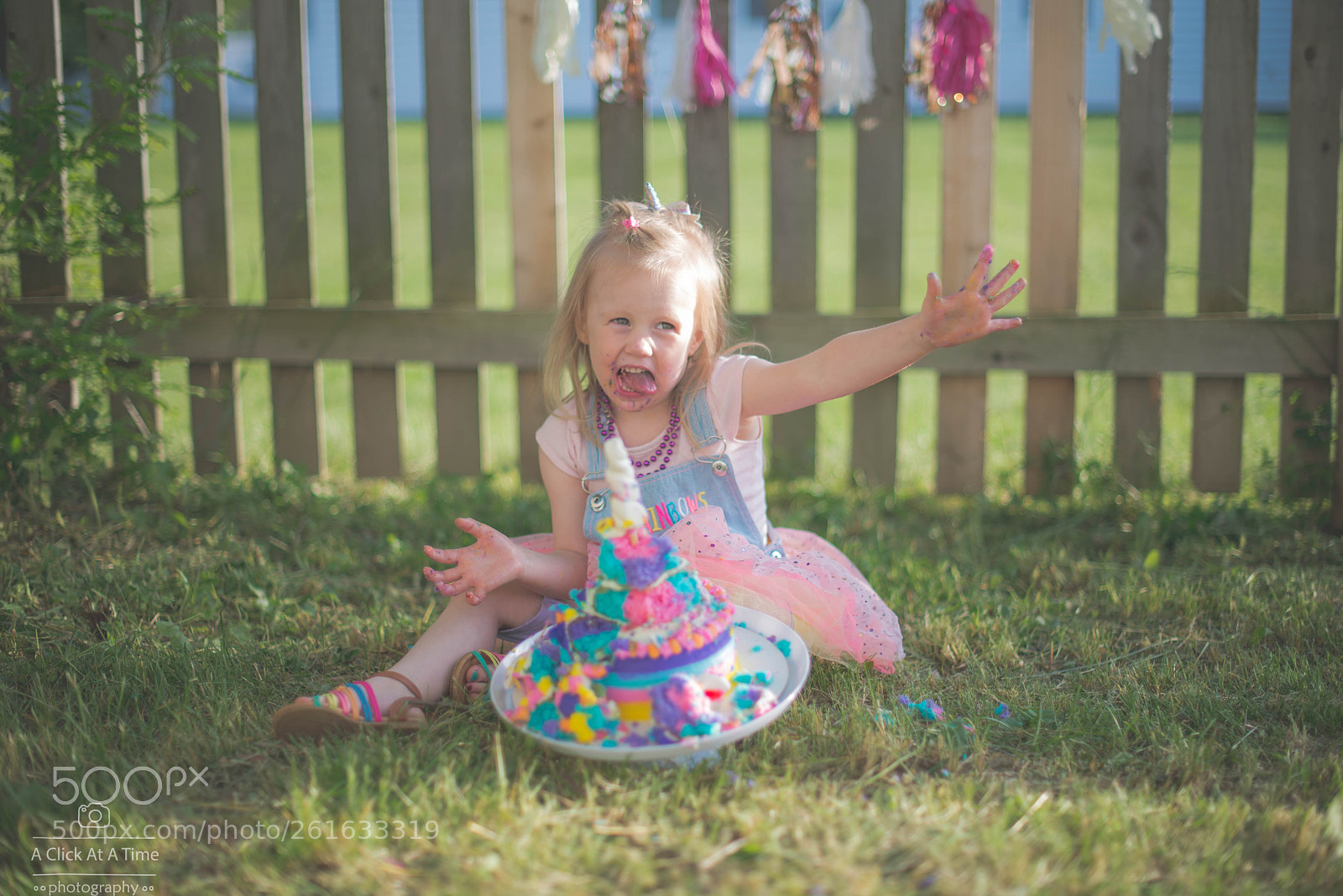 Nikon D610 sample photo. 17.jpg photography