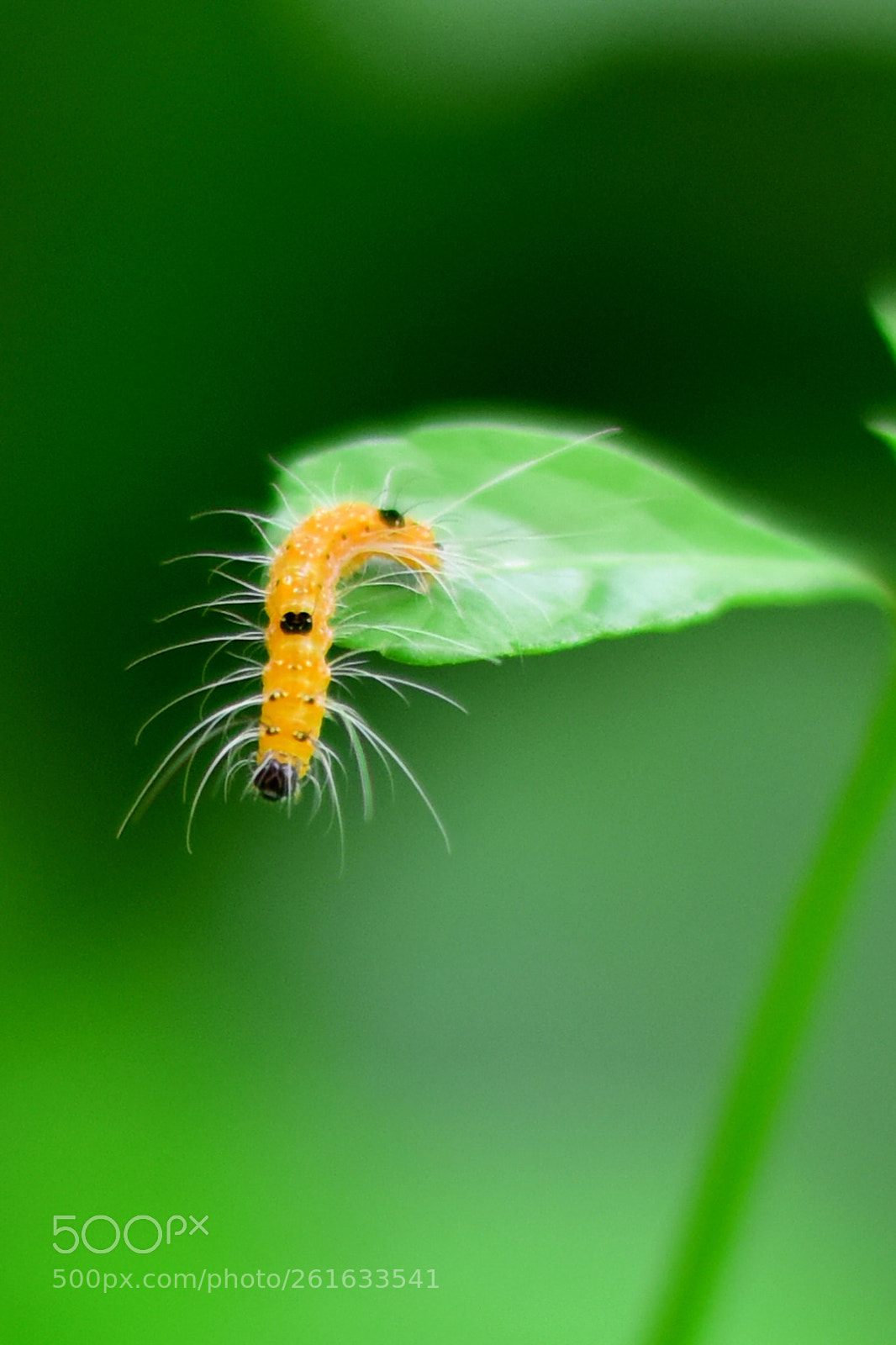 Nikon D810 sample photo. Awesome.... nature... photography