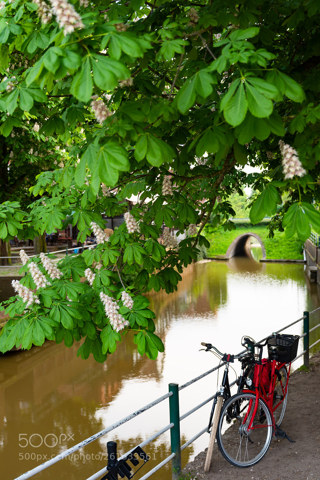 Nikon D810 sample photo. Harlesiel beautiful town in photography