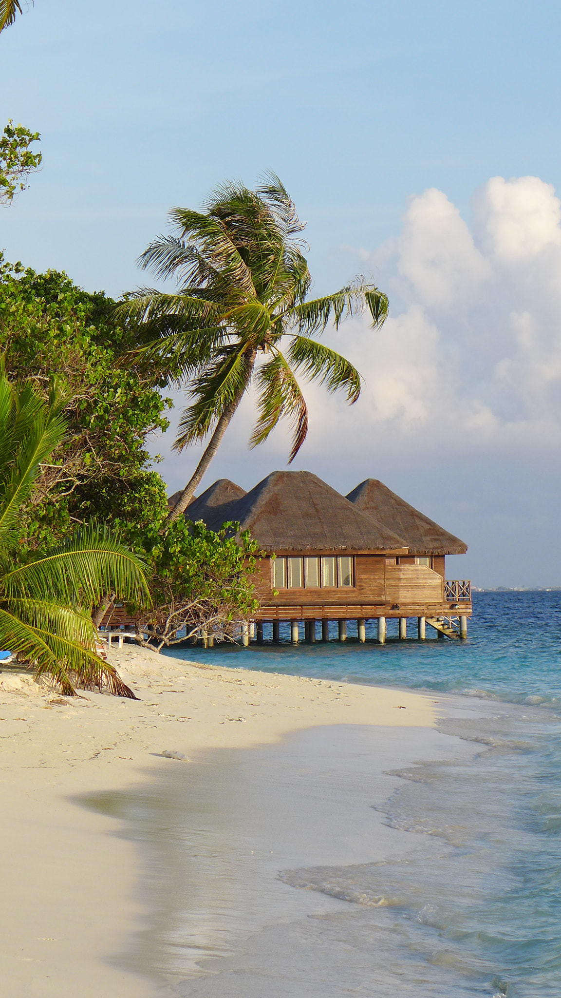 Leica D-Lux 6 sample photo. Maldives photography