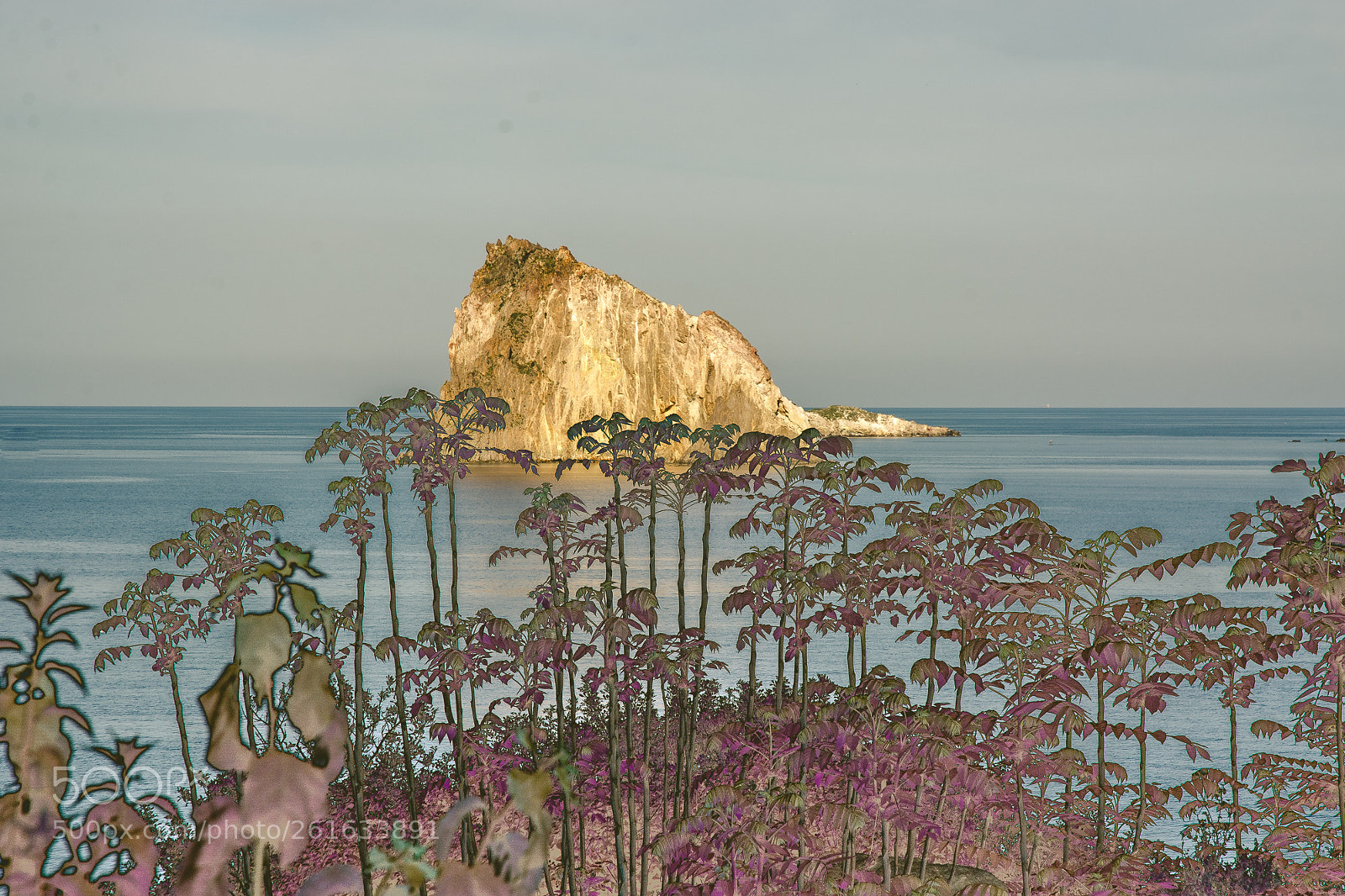 Nikon D7100 sample photo. One photography