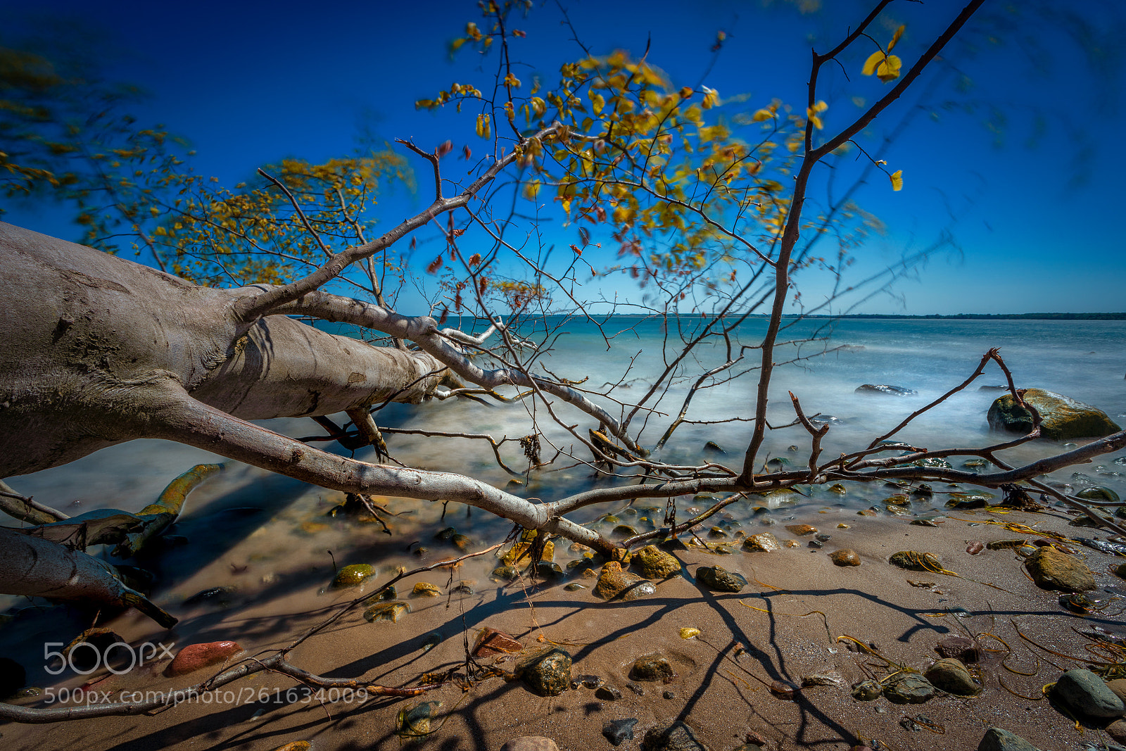 Sony a7R III sample photo. Travemünde photography