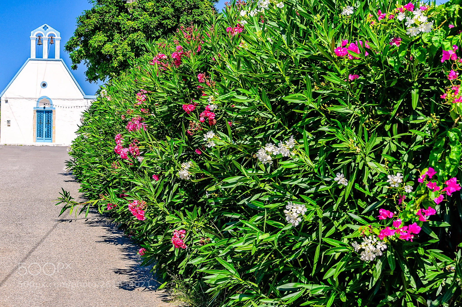 Nikon D90 sample photo. Marathi, crete photography