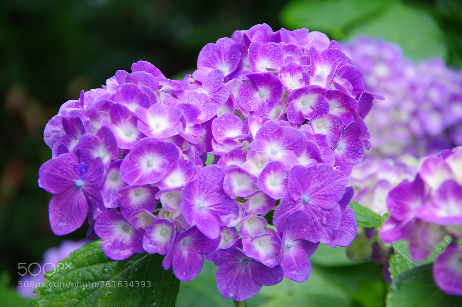 Pentax K-70 sample photo. Untitled photography