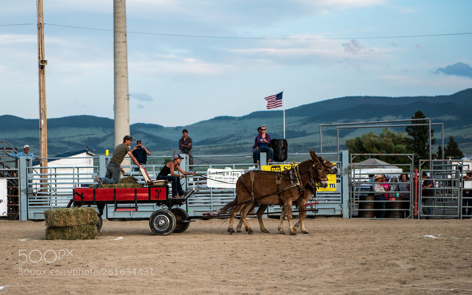 Nikon D750 sample photo. Montana mule days photography