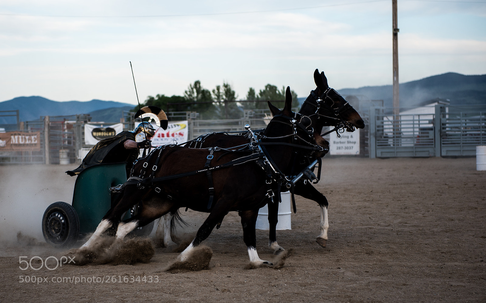 Nikon D750 sample photo. Montana mule days photography