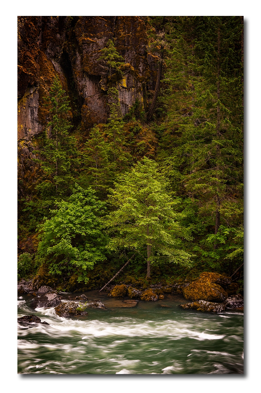 Canon EOS-1Ds Mark III sample photo. Rogue river, oregon photography