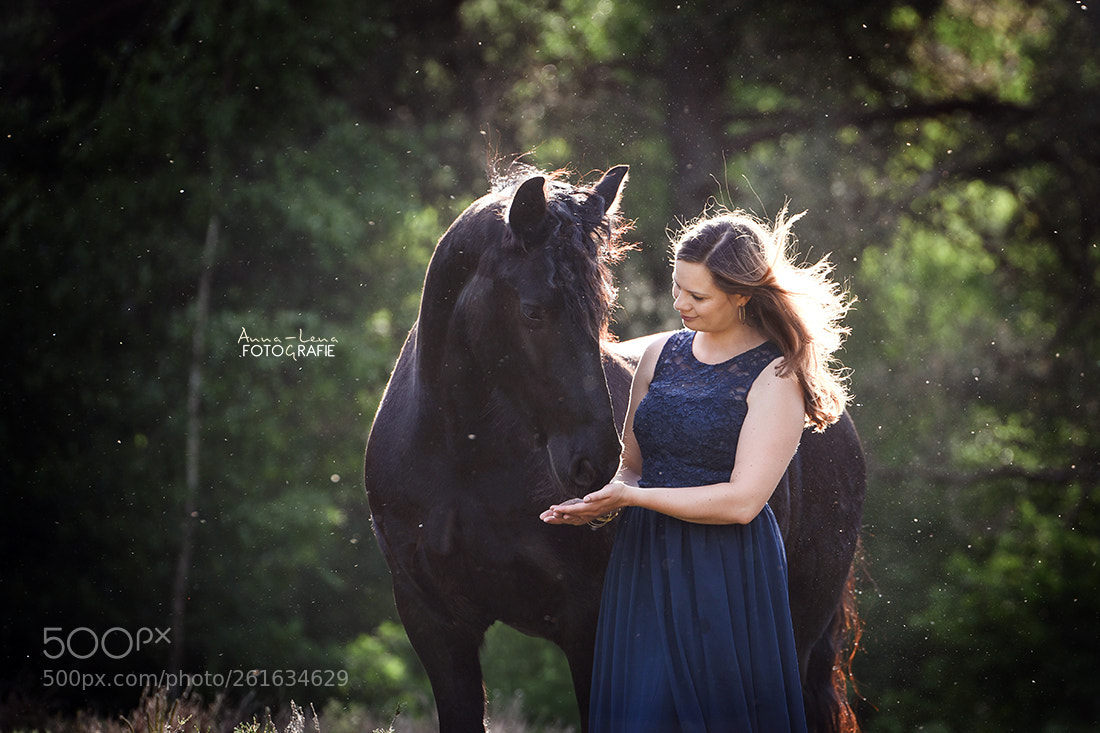 Nikon D750 sample photo. Summerwind photography