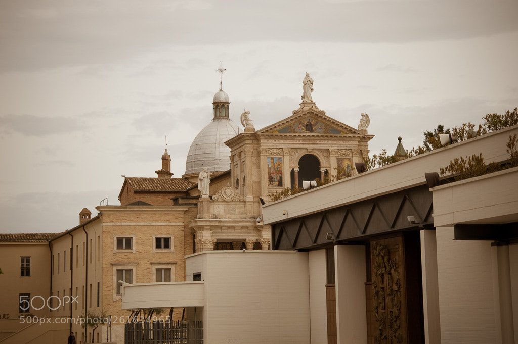 Nikon D3200 sample photo. Untitled photography