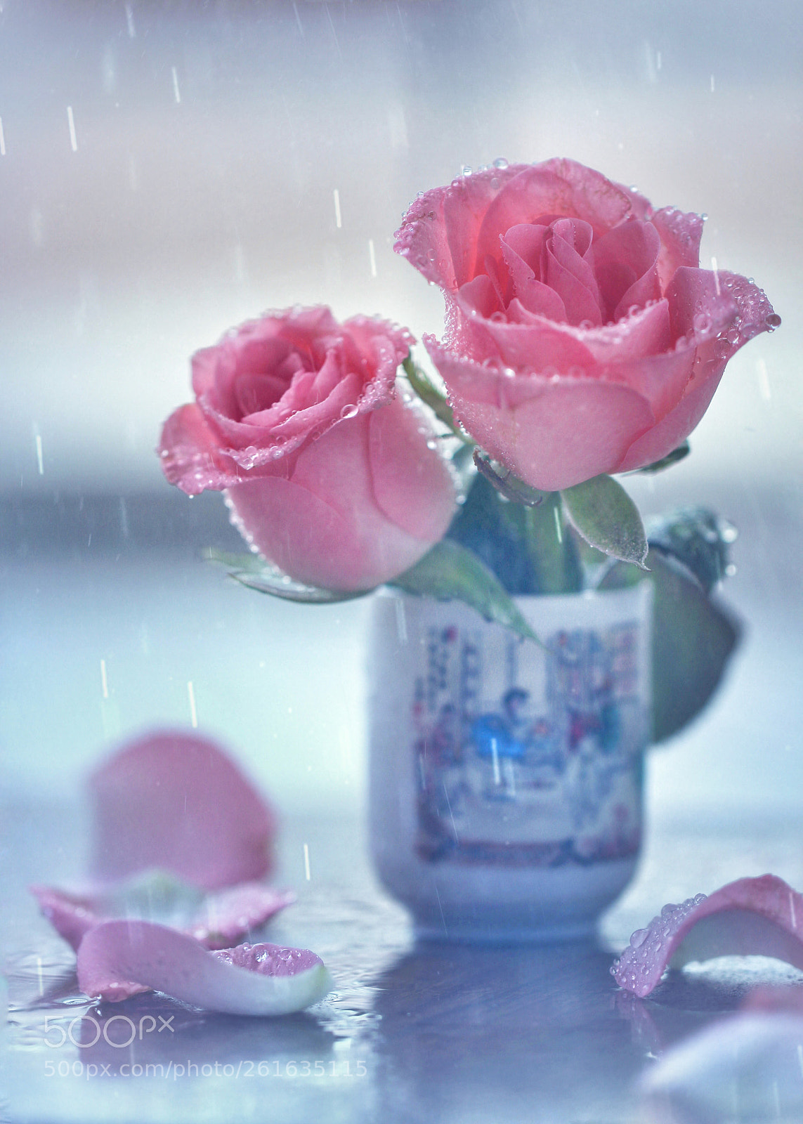 Canon EOS 600D (Rebel EOS T3i / EOS Kiss X5) sample photo. Pink rain  photography