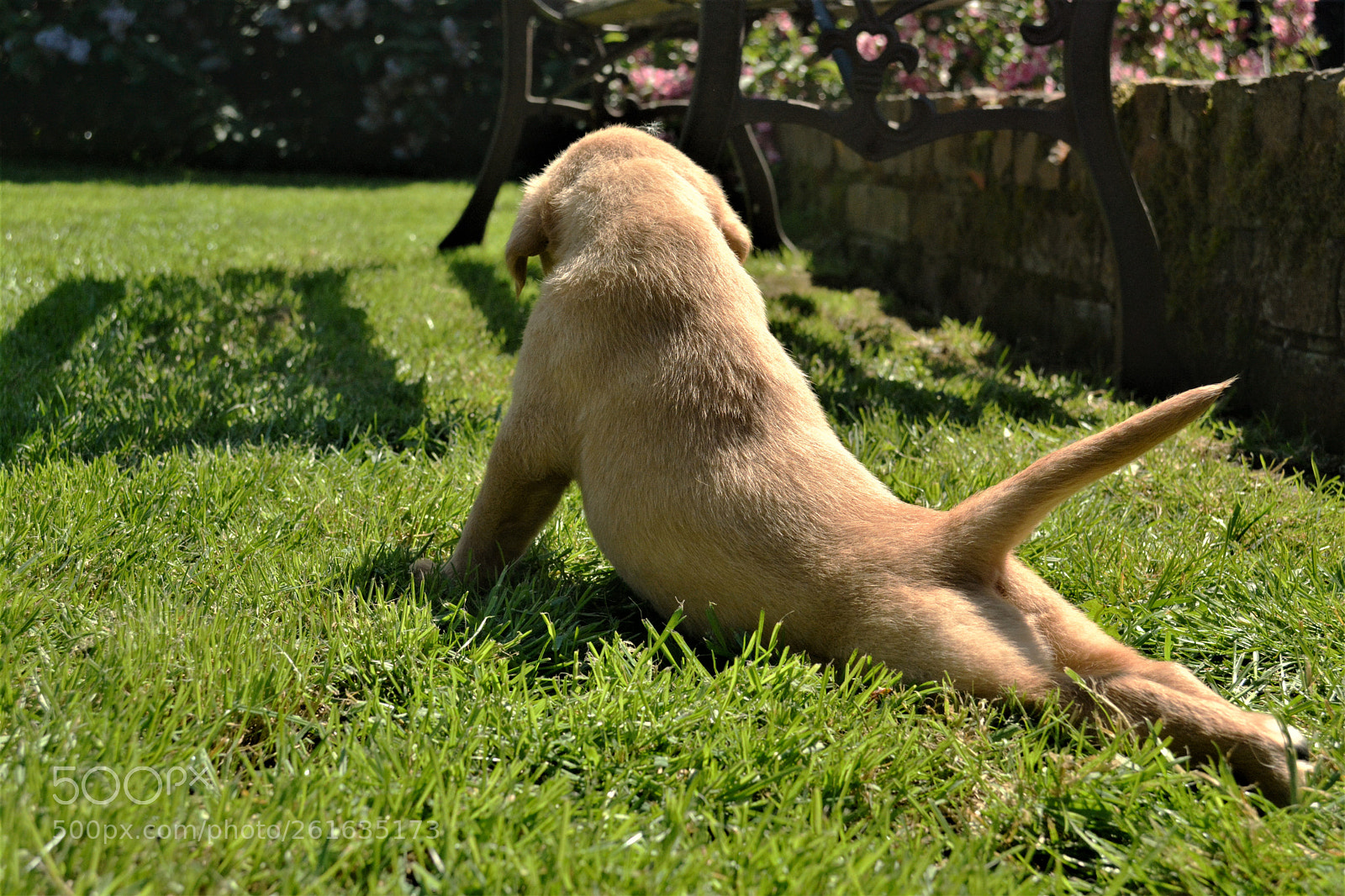 Nikon D5200 sample photo. Having a stetch photography