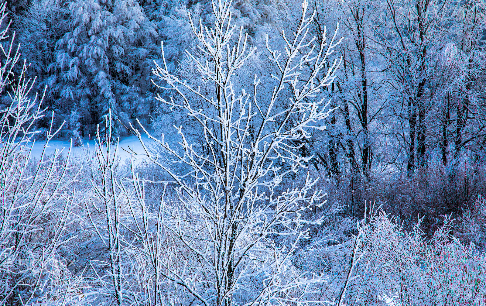 Canon EOS 5D Mark IV sample photo. Frozen scene in march photography
