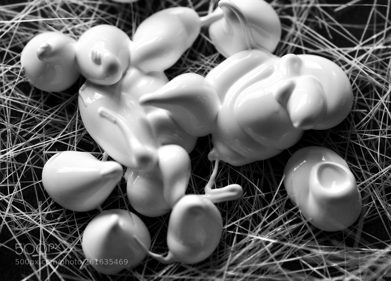 Pentax K-30 sample photo. On the brush... photography