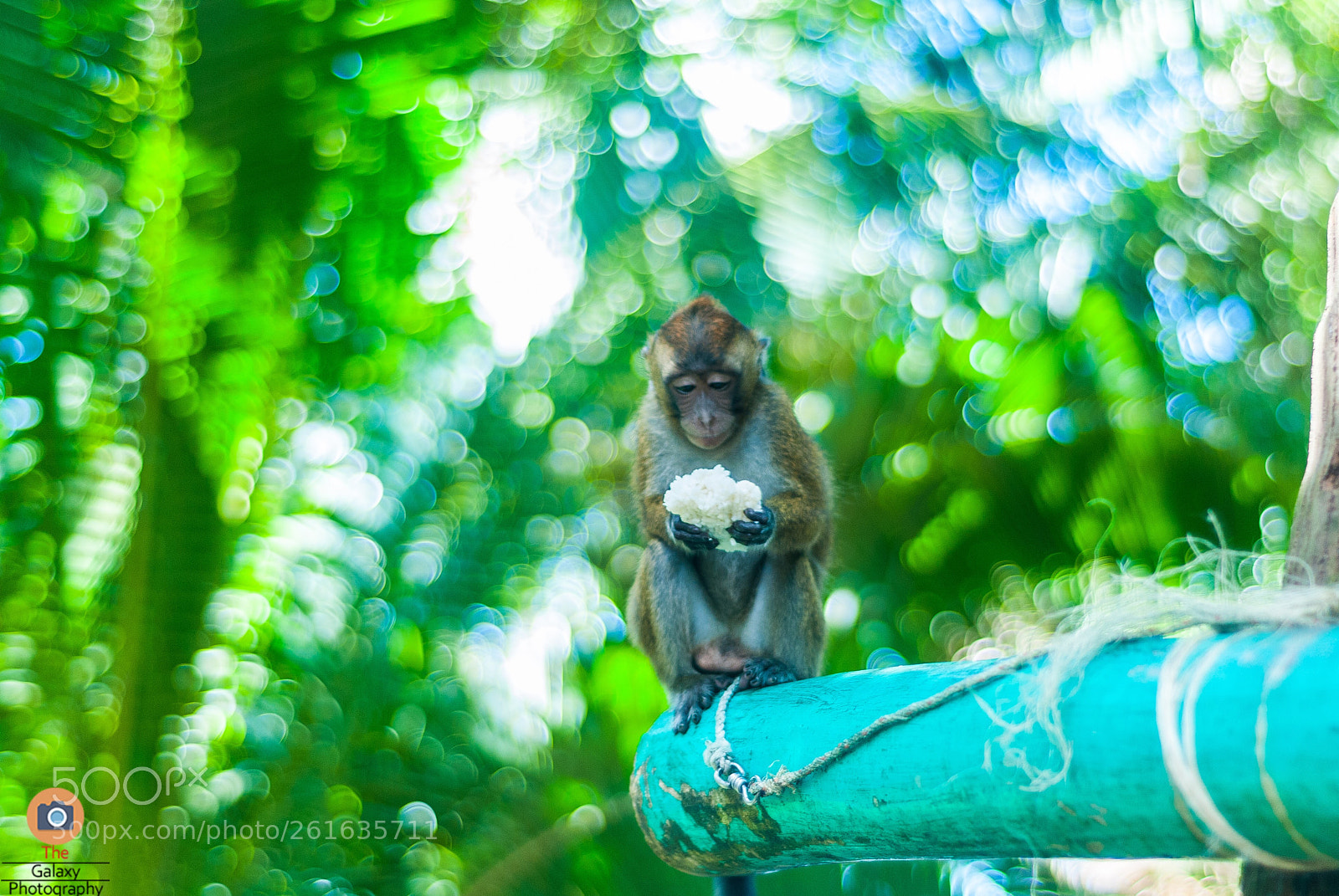 Nikon D80 sample photo. Philippines 2017 #2 photography
