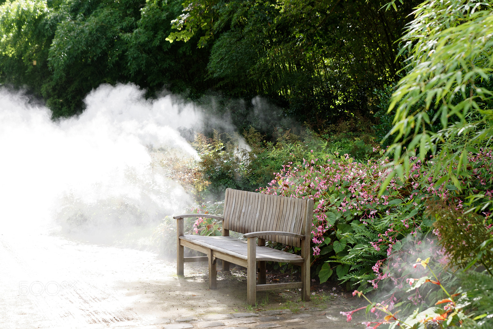 Tamron SP 24-70mm F2.8 Di VC USD sample photo. Orleans, parc floral de la source photography