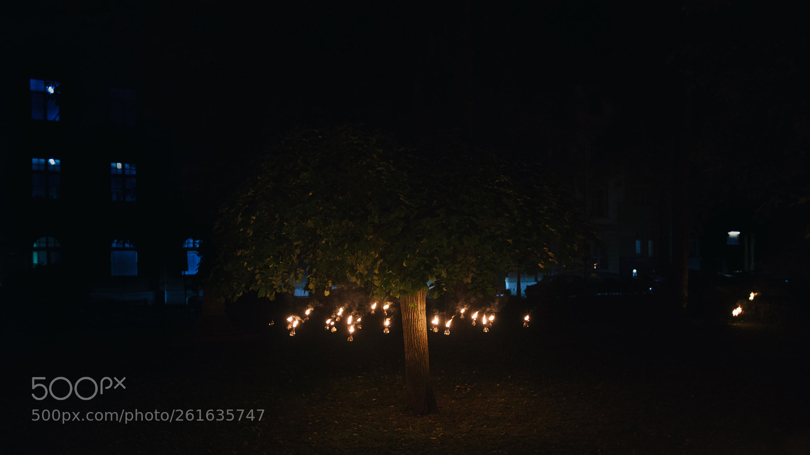 Nikon D610 sample photo. Light darkness photography