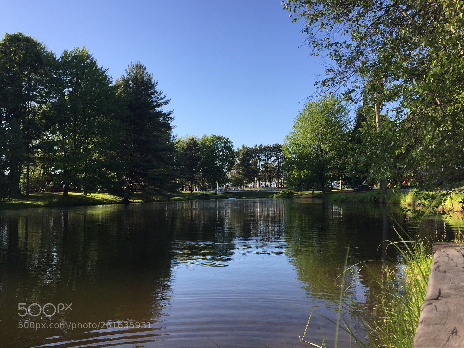 Apple iPhone 6 sample photo. Camping du tournesol  photography