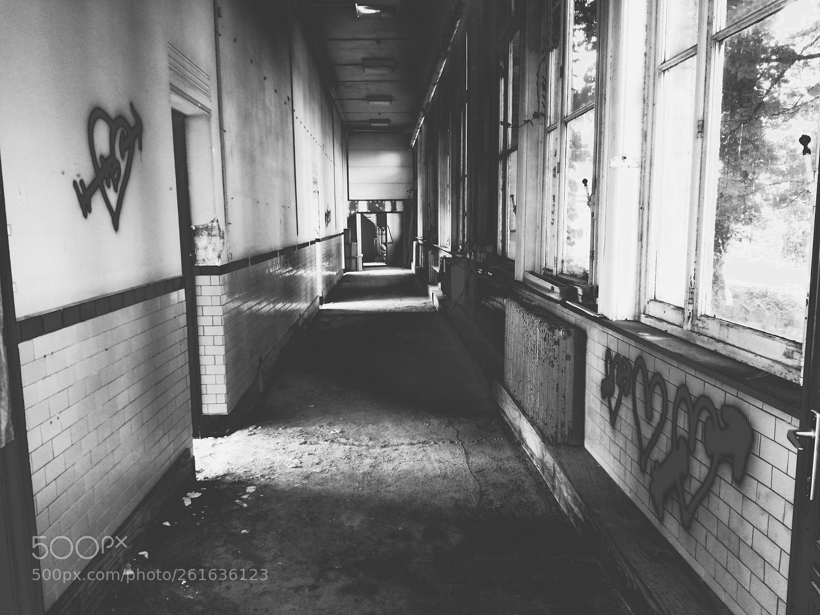 HUAWEI P9 LITE sample photo. Untitled photography