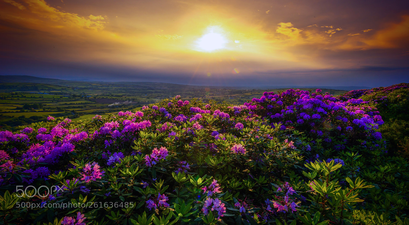 Nikon D810 sample photo. Kinnahalla sunset. photography