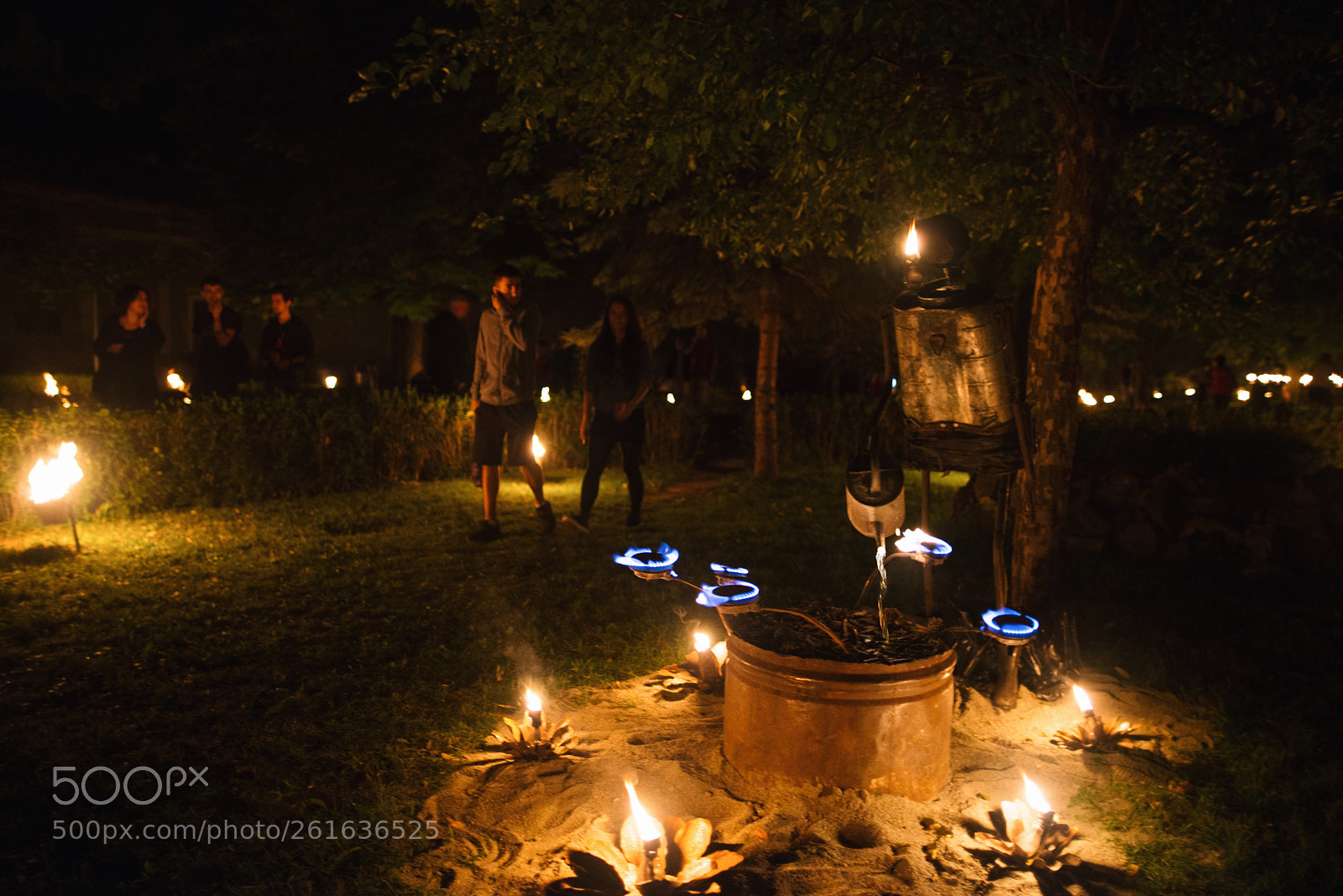 Nikon D610 sample photo. Installations du feu by photography