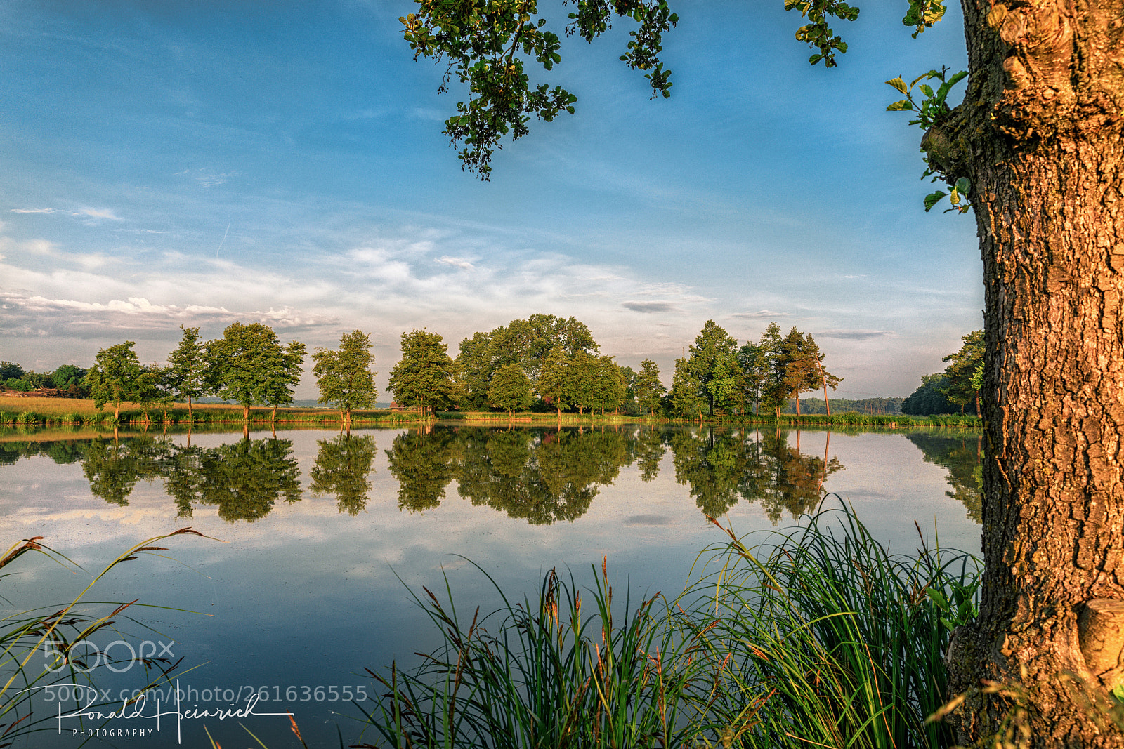 Sony a7R II sample photo. 035  2018-05-29 2.jpg photography