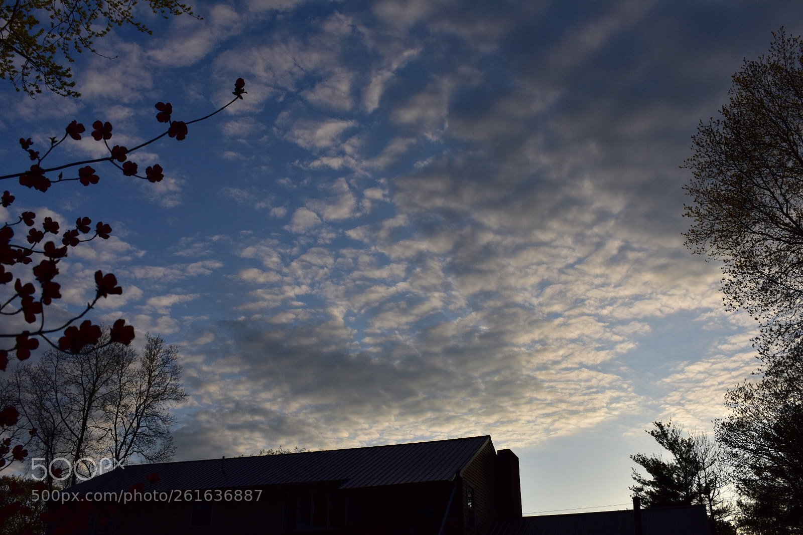 Nikon D3400 sample photo. Untitled photography