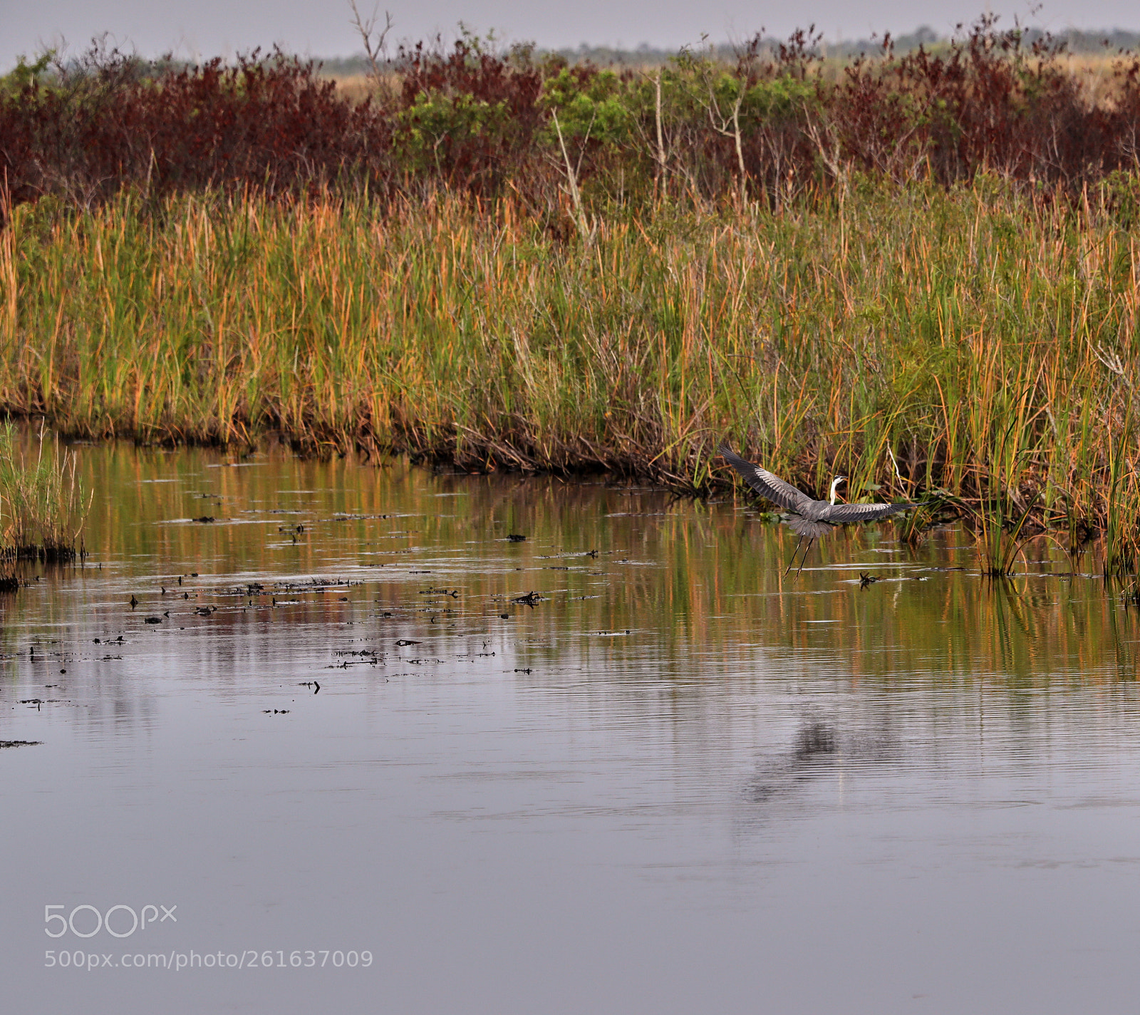 Canon EOS-1D X Mark II sample photo. 06-10-18-0022097 2.jpg photography