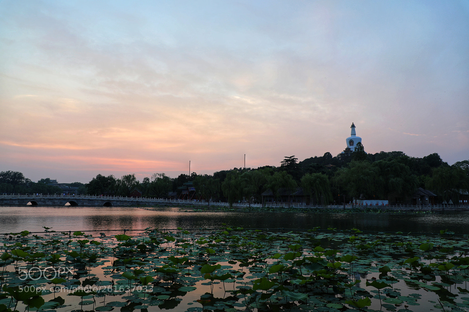 Canon EOS 5D Mark IV sample photo. Untitled photography