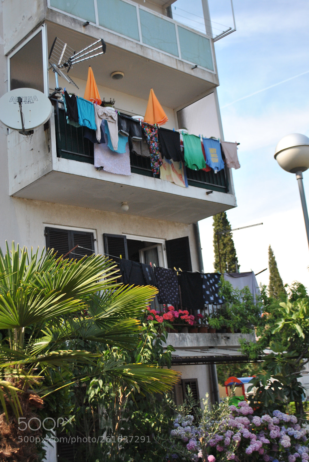 Nikon D3000 sample photo. Laundry day photography