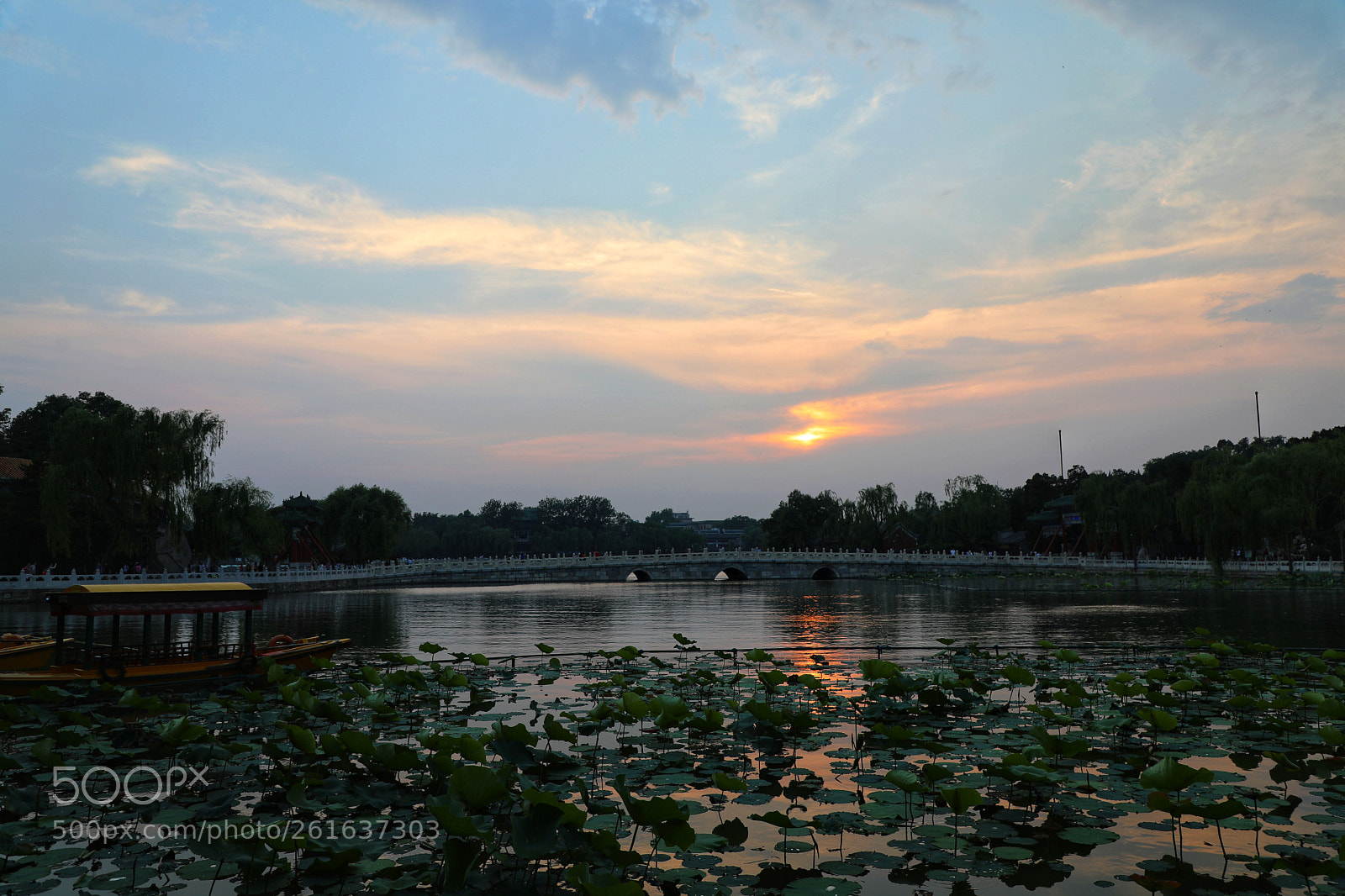 Canon EOS 5D Mark IV sample photo. Untitled photography