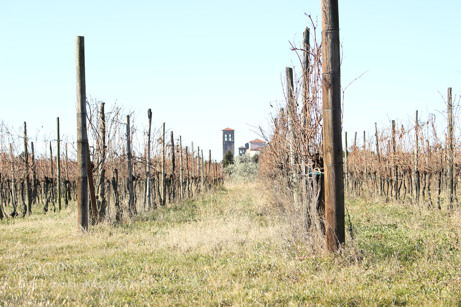 Canon EOS 100D (EOS Rebel SL1 / EOS Kiss X7) sample photo. Cividale del friuli photography