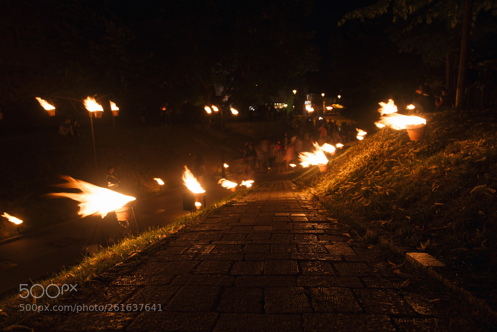 Nikon D610 sample photo. Installations du feu by photography
