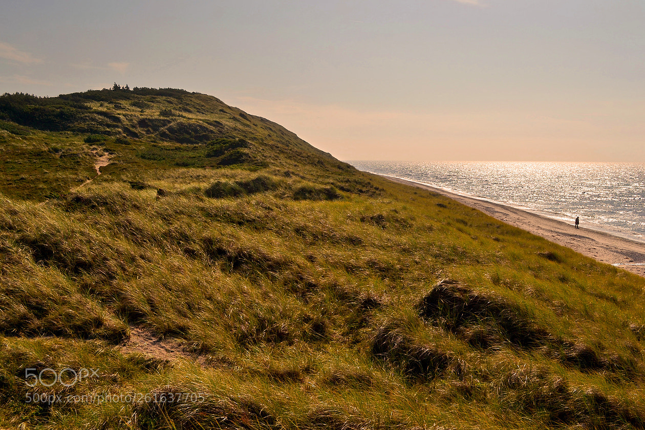 Nikon D3100 sample photo. Island of anholt, denmark #2 photography
